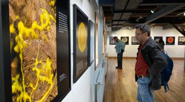 Registro exposición muestra ‘El mundo en una gota de agua: Una exploración fotográfica de la vida microscópica’.